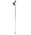 Rex Acadia ski poles