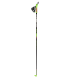 Rex R1 Sprint ski poles