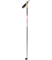 Rex Silva ski poles